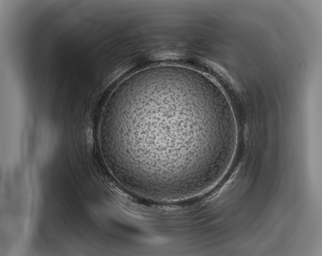 X0000115371209200911101239