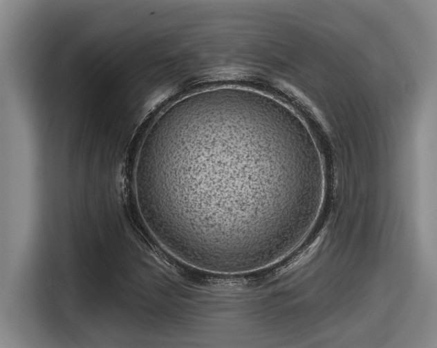 X0000115371210200911101239