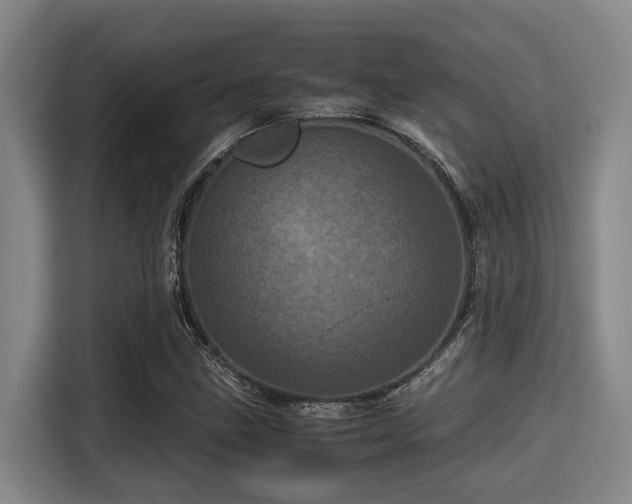 X0000115371211200911101239