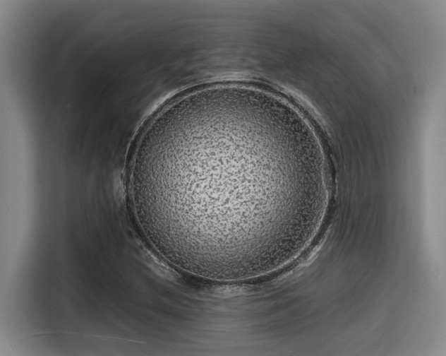 X0000115371212200911101239