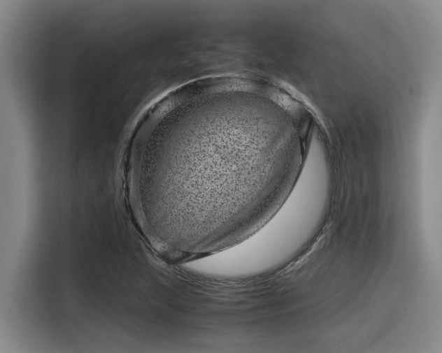 X0000115371215200911101239