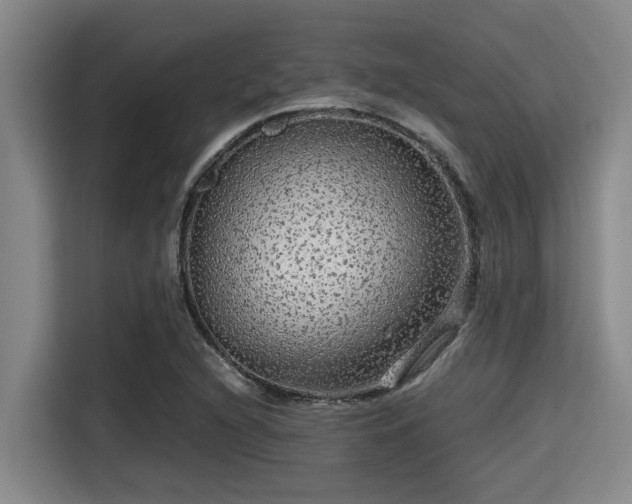 X0000115371216200911101239