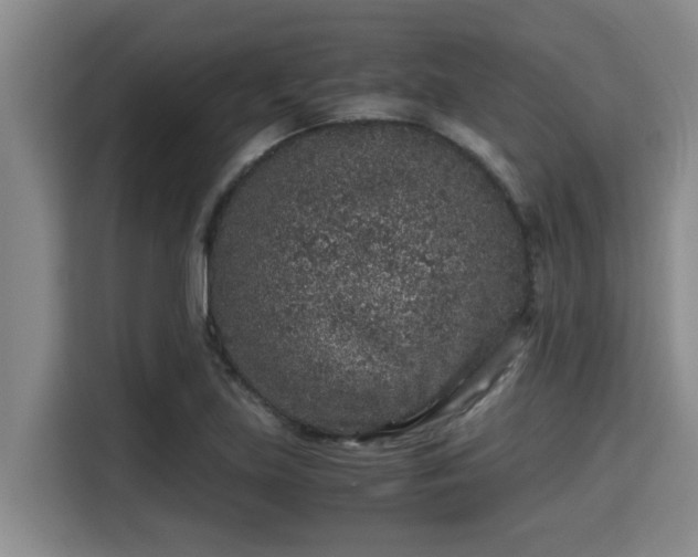 X0000115371219200911101239
