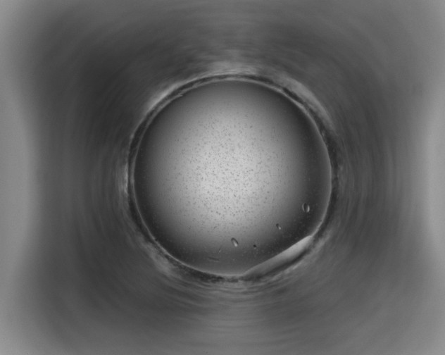 X0000115371220200911101239