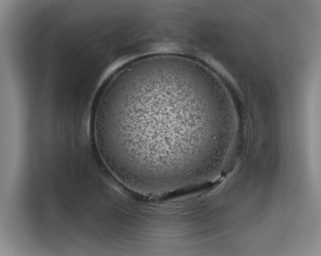 X0000115371222200911101239