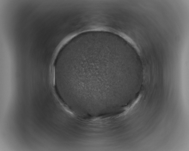 X0000115371223200911101239