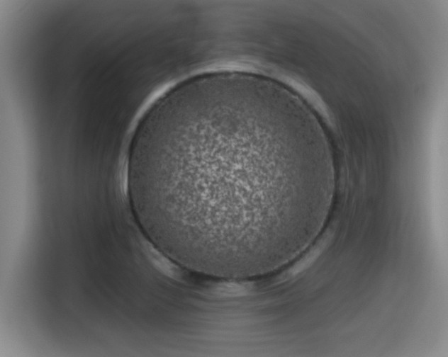X0000115371224200911101239