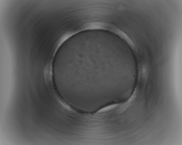 X0000115371226200911101239