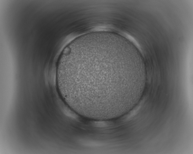 X0000115371227200911101239