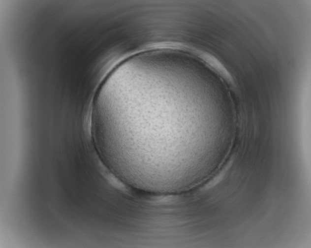 X0000115371228200911101240