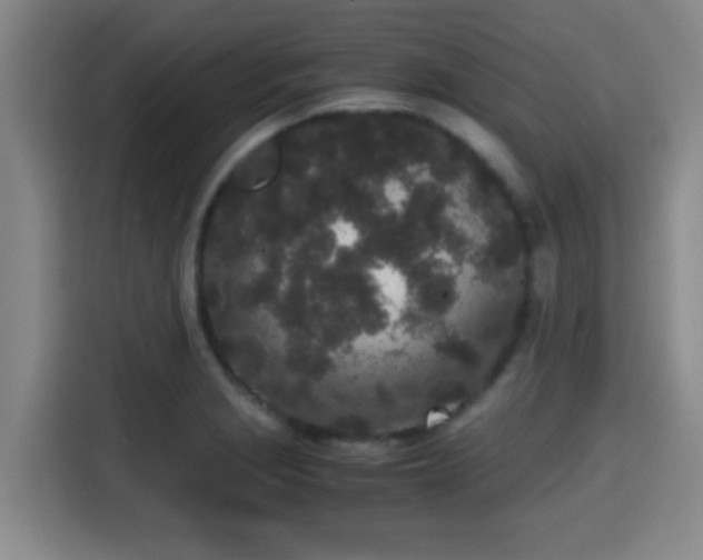 X0000115371229200911101240