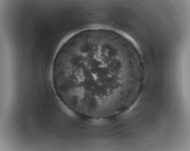 X0000115371231200911101240