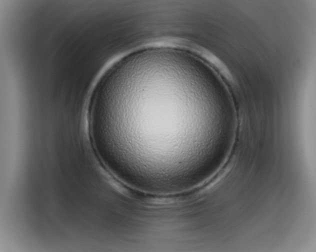 X0000115371232200911101240