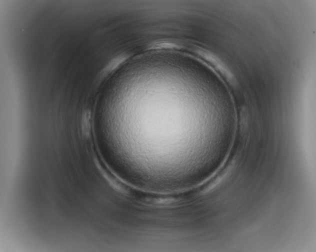 X0000115371233200911101240