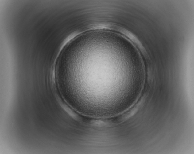 X0000115371234200911101240