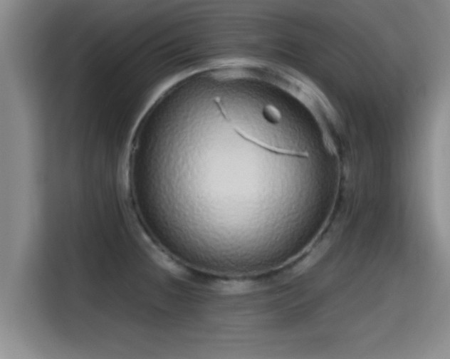 X0000115371236200911101240