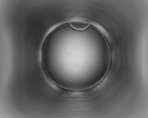 X0000115371238200911101240