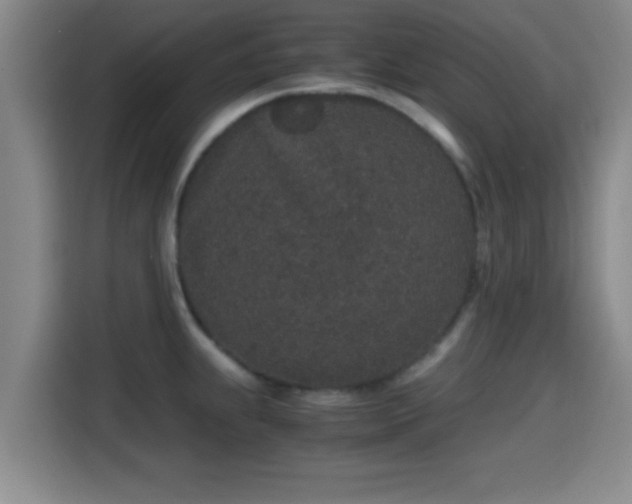X0000115371239200911101240