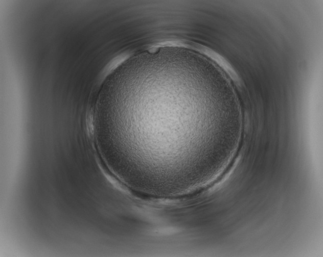 X0000115371241200911101240