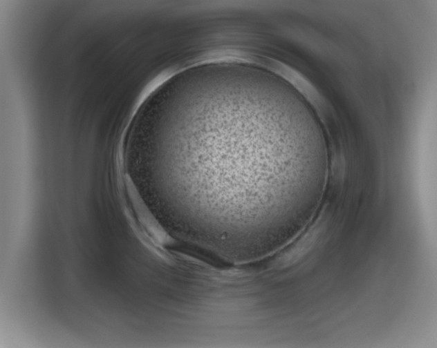 X0000115371242200911101240