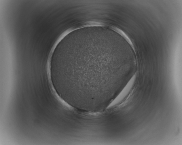 X0000115371243200911101240