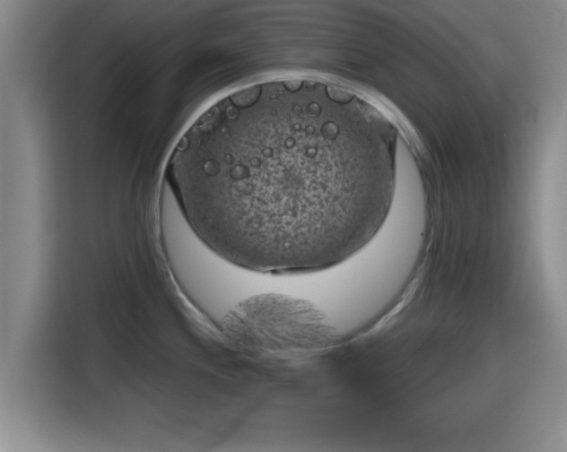 X0000115371244200911101240