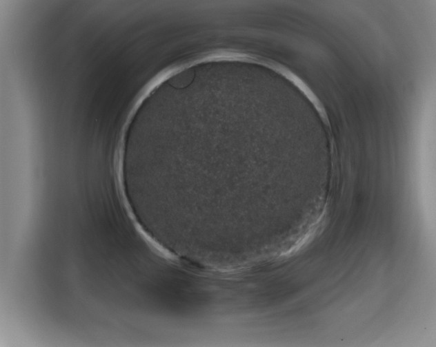 X0000115371245200911101240