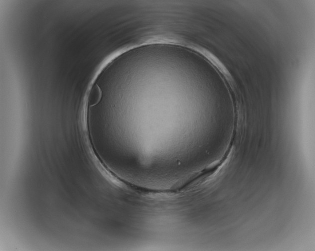 X0000115371246200911101240