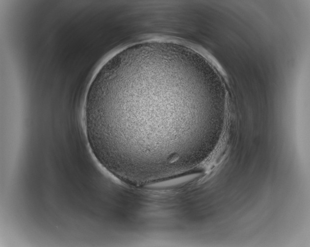 X0000115371247200911101240