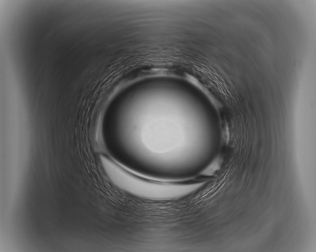 X0000115371249200911101239