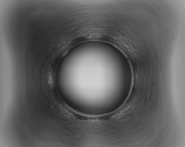 X0000115371250200911101239