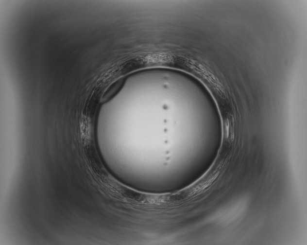 X0000115371251200911101239