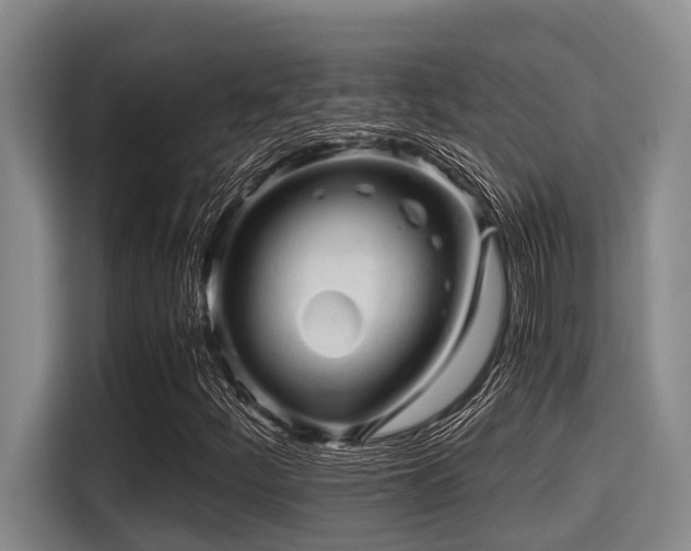 X0000115371252200911101239