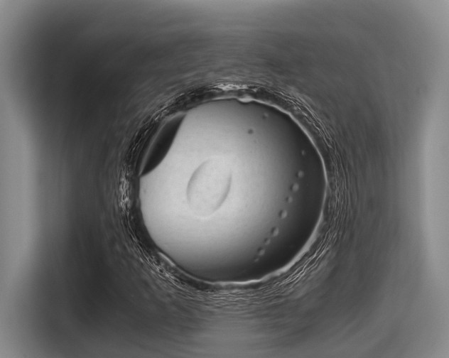 X0000115371253200911101239