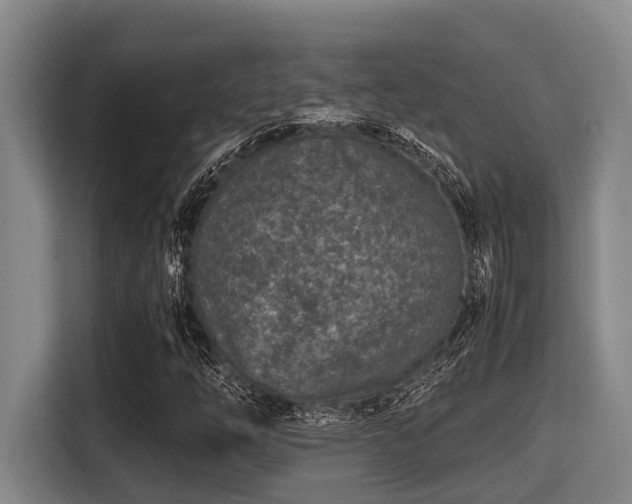 X0000115371254200911101239