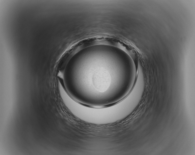 X0000115371256200911101239