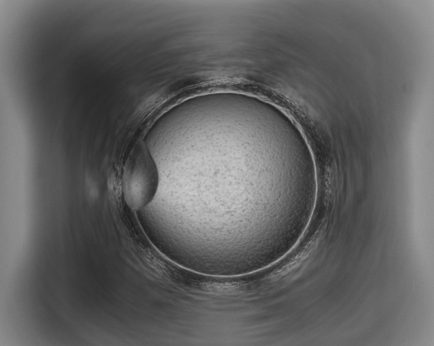 X0000115371257200911101239