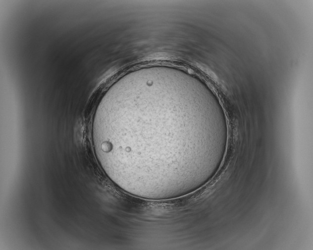 X0000115371258200911101239