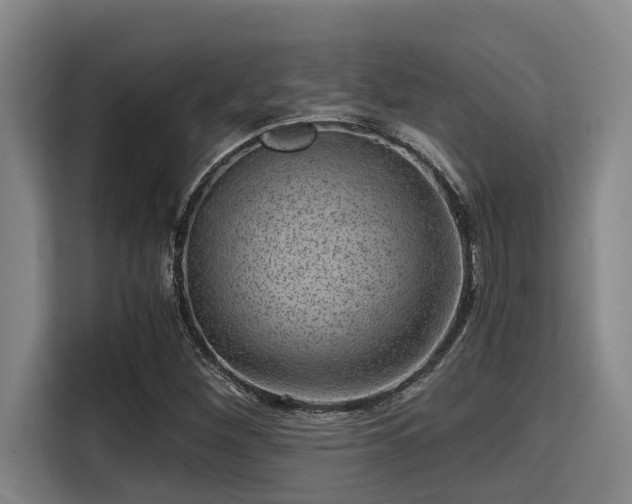 X0000115371260200911101239
