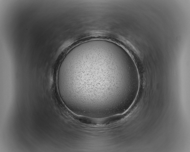 X0000115371261200911101239
