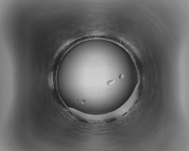 X0000115371262200911101239