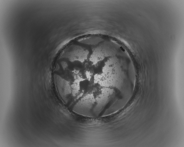 X0000115371263200911101239