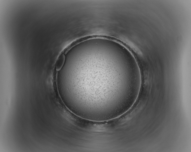 X0000115371264200911101239