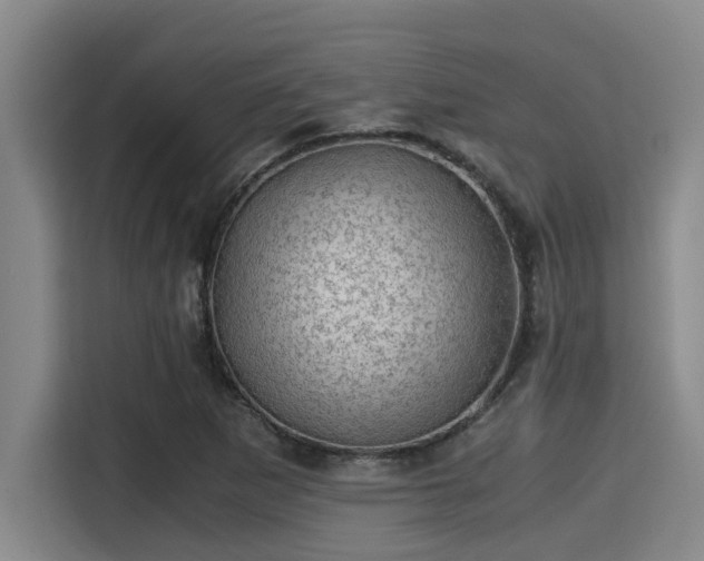 X0000115371265200911101239