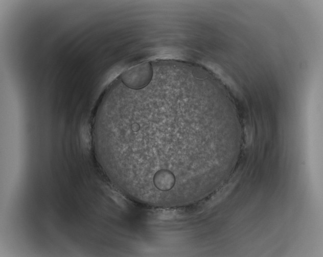 X0000115371266200911101239