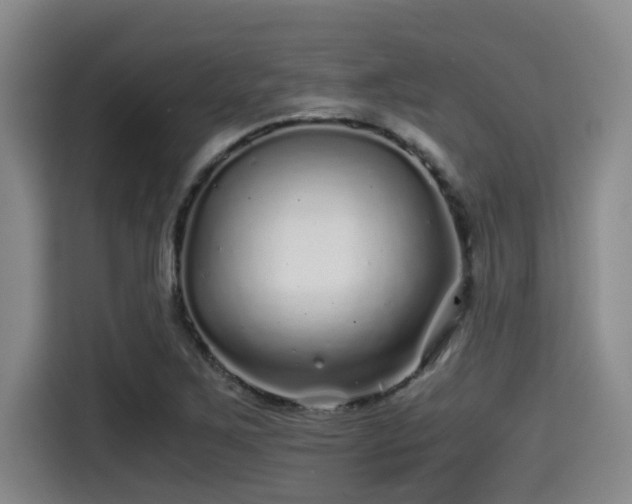 X0000115371267200911101239