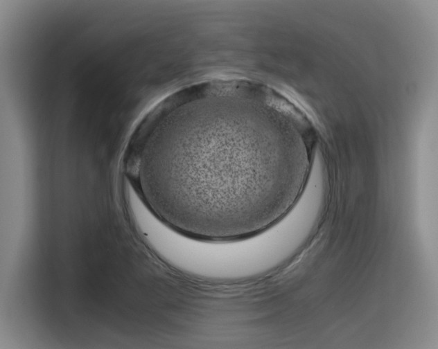 X0000115371269200911101239