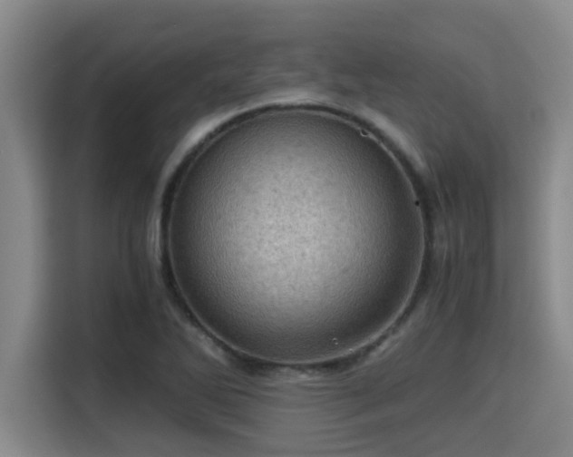 X0000115371270200911101239