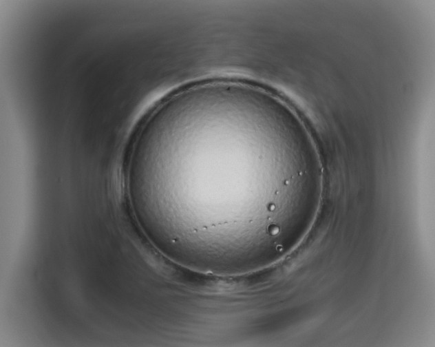X0000115371271200911101239