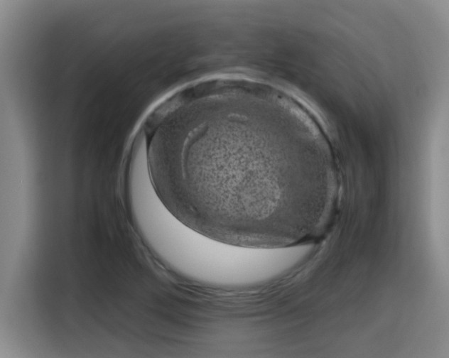 X0000115371272200911101239